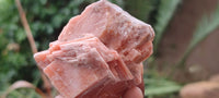 Natural New Sunset Orange Calcite Specimens  x 24 From Spitzkop, Namibia