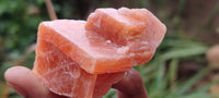 Natural New Sunset Orange Calcite Specimens  x 24 From Spitzkop, Namibia