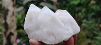 Natural Highly Selected Candle Quartz Crystals  x 6 From Madagascar