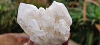 Natural Highly Selected Candle Quartz Crystals  x 6 From Madagascar