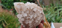 Natural Highly Selected Candle Quartz Crystals  x 6 From Madagascar