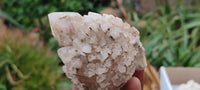 Natural Highly Selected Candle Quartz Crystals  x 6 From Madagascar