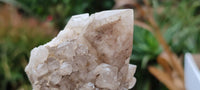 Natural Highly Selected Candle Quartz Crystals  x 6 From Madagascar