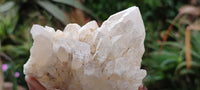 Natural Highly Selected Candle Quartz Crystals  x 6 From Madagascar