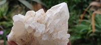 Natural Highly Selected Candle Quartz Crystals  x 6 From Madagascar