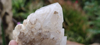 Natural Highly Selected Candle Quartz Crystals  x 6 From Madagascar