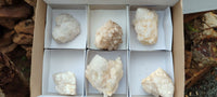 Natural Highly Selected Candle Quartz Crystals  x 6 From Madagascar