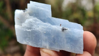 Natural New Sky Blue Calcite Specimens  x 35 From Spitzkop, Namibia