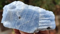 Natural New Sky Blue Calcite Specimens  x 35 From Spitzkop, Namibia