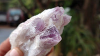 Natural Sugar Amethyst Clusters  x 12 From Zambia