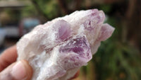 Natural Sugar Amethyst Clusters  x 12 From Zambia