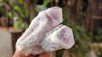 Natural Sugar Amethyst Clusters  x 12 From Zambia