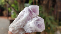 Natural Sugar Amethyst Clusters  x 12 From Zambia