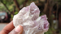 Natural Sugar Amethyst Clusters  x 12 From Zambia