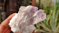 Natural Sugar Amethyst Clusters  x 12 From Zambia