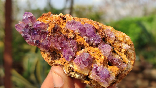 Natural Mixed Selection Of Quartz Specimens x 12 From Southern Africa