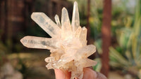 Natural Mixed Selection Of Quartz Specimens x 12 From Southern Africa