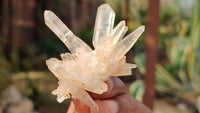 Natural Mixed Selection Of Quartz Specimens x 12 From Southern Africa