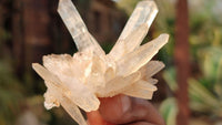 Natural Mixed Selection Of Quartz Specimens x 12 From Southern Africa