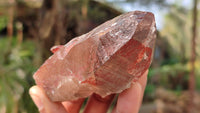 Natural Mixed Selection Of Quartz Specimens x 12 From Southern Africa