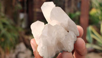 Natural Mixed Selection Of Quartz Specimens x 12 From Southern Africa