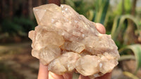 Natural Mixed Selection Of Quartz Specimens x 12 From Southern Africa