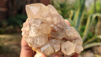 Natural Mixed Selection Of Quartz Specimens x 12 From Southern Africa