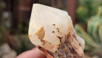 Natural Mixed Selection Of Quartz Specimens x 12 From Southern Africa