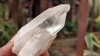 Natural Mixed Selection Of Quartz Specimens x 12 From Southern Africa