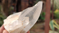 Natural Mixed Selection Of Quartz Specimens x 12 From Southern Africa