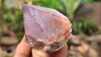 Natural Large Spirit Amethyst Quartz Crystals x 12 From Boekenhouthoek, South Africa