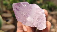 Natural Large Spirit Amethyst Quartz Crystals x 12 From Boekenhouthoek, South Africa