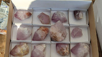 Natural Large Spirit Amethyst Quartz Crystals x 12 From Boekenhouthoek, South Africa