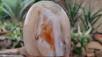 Polished Lovely Selection Of Agate Standing Free Forms  x 3 From Madagascar