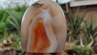 Polished Lovely Selection Of Agate Standing Free Forms  x 3 From Madagascar