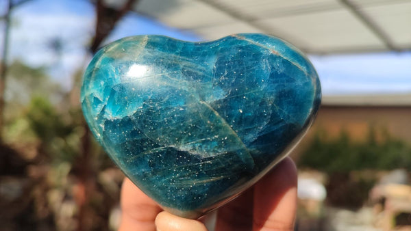 Polished Blue Apatite Hearts  x 6 From Madagascar