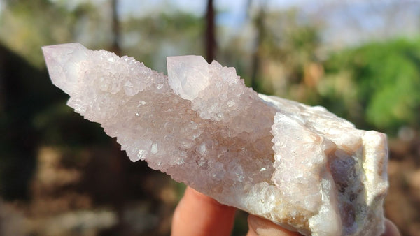 Natural Spirit Amethyst Quartz Crystals x 12 From Boekenhouthoek, South Africa