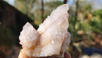 Natural Spirit Amethyst Quartz Crystals x 12 From Boekenhouthoek, South Africa