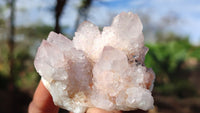 Natural Spirit Amethyst Quartz Crystals x 12 From Boekenhouthoek, South Africa