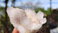 Natural Spirit Amethyst Quartz Crystals x 12 From Boekenhouthoek, South Africa