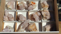 Natural Spirit Amethyst Quartz Crystals x 12 From Boekenhouthoek, South Africa