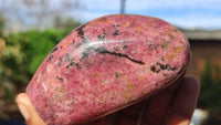 Polished Red Rhodonite Free Forms x 6 From Zimbabwe