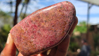 Polished Red Rhodonite Free Forms x 6 From Zimbabwe