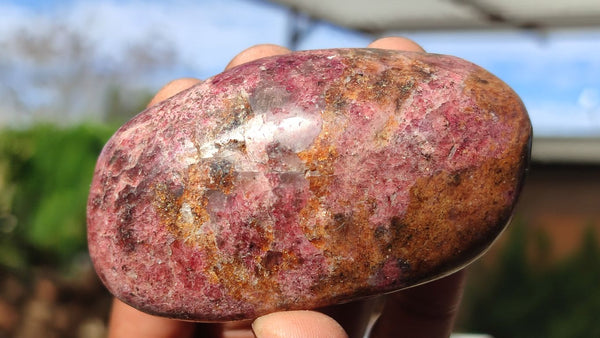 Polished Red Rhodonite Free Forms x 6 From Zimbabwe