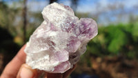 Natural Sugar Amethyst Clusters  x 12 From Solwezi, Zambia