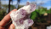 Natural Sugar Amethyst Clusters  x 12 From Solwezi, Zambia