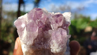 Natural Sugar Amethyst Clusters  x 12 From Solwezi, Zambia