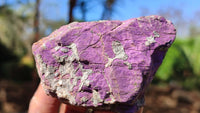 Natural Metallic Purpurite Cobbed Specimens x 12 From Erongo, Namibia