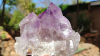 Natural Jacaranda Amethyst Clusters x 2 From Zambia