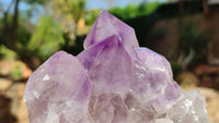 Natural Jacaranda Amethyst Clusters x 2 From Zambia